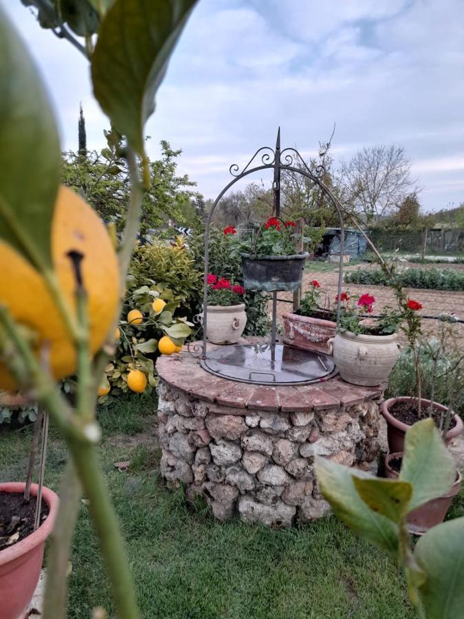 Casa Patti Alle Porte Di Siena Luaran gambar