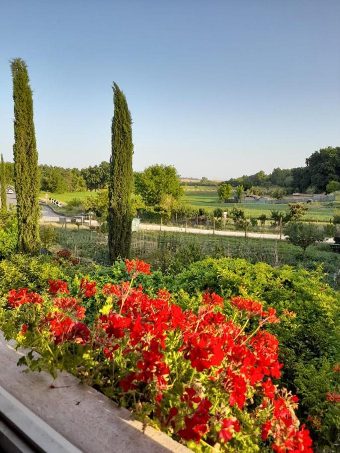 Casa Patti Alle Porte Di Siena Luaran gambar